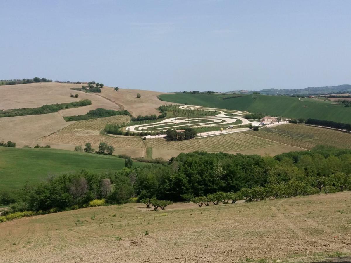 Strada Dei Frutteti * Tavullia